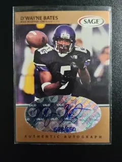 Item thumbnail for item 001b2c9c-bd89-4ac9-bdfe-7f44f5d863fb