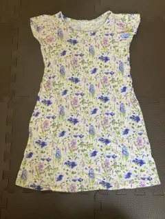 Item thumbnail for item 040d4c9d-9510-4435-a565-d3ad03c10b9e