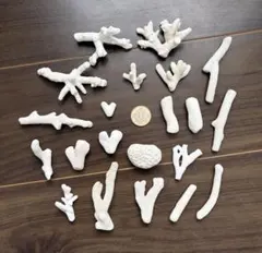 2026年最新】珊瑚置物の人気アイテム - メルカリ