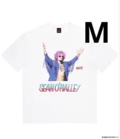 Item thumbnail for item 8ca45761-e9d5-44c1-9a08-215ede421040