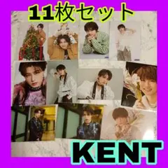 2026年最新】龍宮城 生写真の人気アイテム - メルカリ