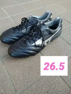 Item thumbnail for item 9217bd78-e3bd-46a0-ba2c-66faca345215