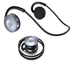 Item thumbnail for item f3f638d1-bebc-4ed2-8650-27698a9fc8cc