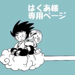 はくあ様 専用ページ