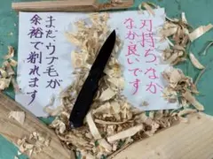 単品　マシン刃付済み　丸洗い可のタフな素材のフルタングナイフ　テスト画像あり