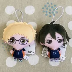 【匿名配送】 ハイキュー!! ぬいぐるみちゃーむ vol.1 月島蛍 山口忠