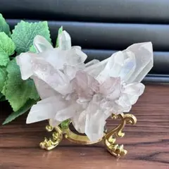 n.♡ 様　専用ページ　A1138