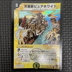 2026年最新】天雷獣ピュアホワイトの人気アイテム - メルカリ