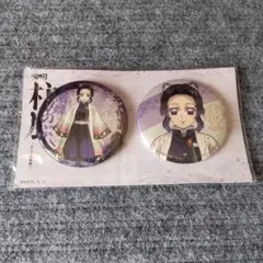 鬼滅の刃 柱展 キービジュアル グリッター 缶バッジセット 胡蝶しのぶ