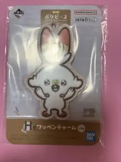 ポケピース　一番くじ　 ヒバニーセット