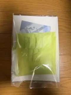 pluie シャッタード M ヘアピアス 三苫愛　プリュイ　CHAMPAGNE pluie シャッタード M ヘアピアス 三苫愛 プリュイ CHAMPAGNE pluie