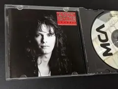 2026年最新】アンディテイラーの人気アイテム - メルカリ