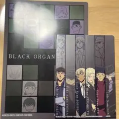 2026年最新】名探偵コナン クリアファイル コナン＆黒の組織の人気