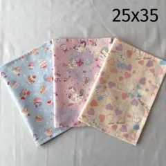 No.C58 ランチョンマット 25x35cm 裏地なし