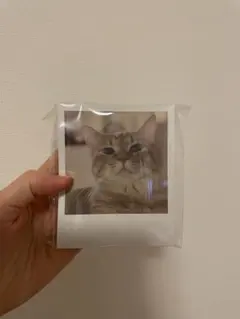 Item thumbnail for item 1c567bb8-06a3-435f-b982-2f5084001567