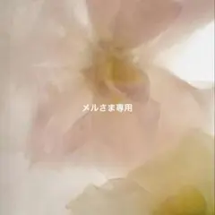 メルさま専用