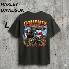 HARLEY DAVIDSON バックスカルプリント入りTシャツ Lサイズのサムネイル