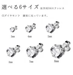 医学 ステンレス ポイントピアス 両耳