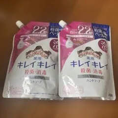 ライオン 薬用キレイキレイ 泡ハンドソープ つめかえ用 450ml 2個セットのサムネイル