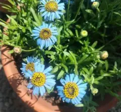 断捨離中ガチャピン様 リクエスト 3点 まとめ商品