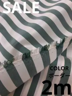 生地・COLORボーダー〈2m〉