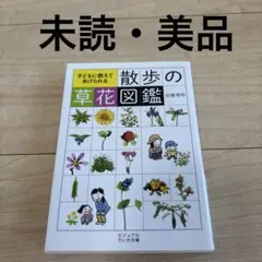 【未読・美品】散歩の草花図鑑