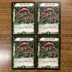 9789 シビレアシダケ 初期 4枚