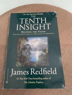 THE TENTH INSIGHT: Holding the Vision