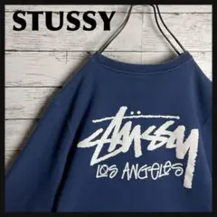 STUSSY◎ビッグロゴ ロサンゼルス スウェット D506