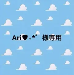 Ari♥︎︎∗︎*゜様専用