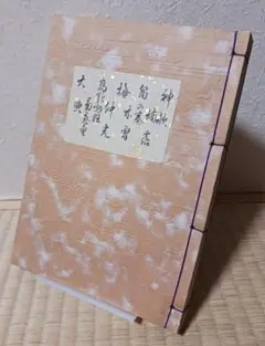 Item thumbnail for item f4ae2cab-6f7a-40b2-8766-3661919d20f7