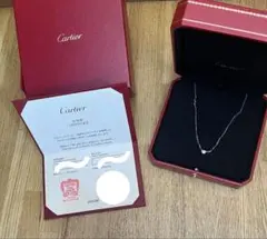 2026年最新】カルティエ ダムール ネックレス スモールの人気アイテム