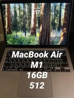 Apple MacBook Air (M1, 2020) 16GB SSD512