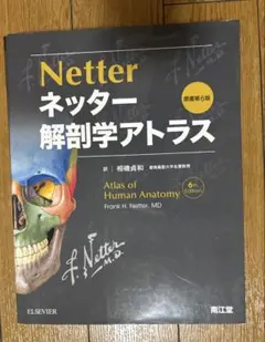 ネッター解剖学アトラス 原書第6版