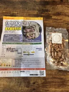 아라게 벚꽃 재배 키트 ❹