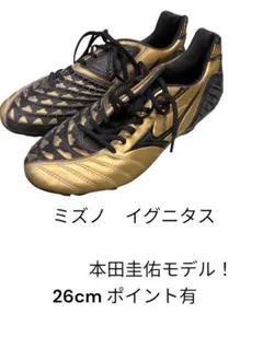 2026年最新】イグニタスの人気アイテム - メルカリ