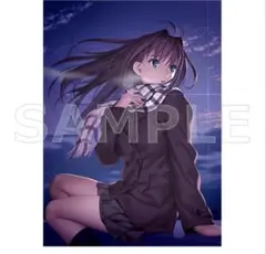 2026年最新】魔法使いの夜 蒼崎 青子の人気アイテム - メルカリ