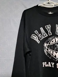 チャンピオン AUTHENTIC AMERICAN 1919 L Tシャツ