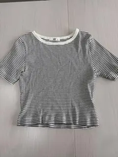 WEGO ボーダー リブTシャツ M