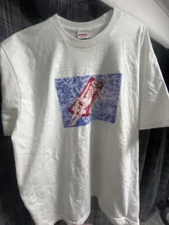 Supreme Tシャツ punkandyo fuckthisindustry - メルカリ