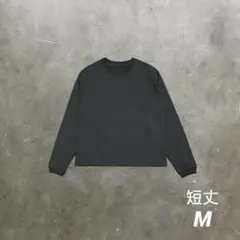 【短丈Tシャツ】長袖 スモーキーブラック 黒T Y2K アメカジ Mサイズ