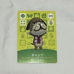 チャンプ　amiibo あつ森
