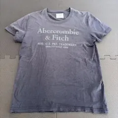 Abercrombie & Fitch グレー Tシャツ XS
