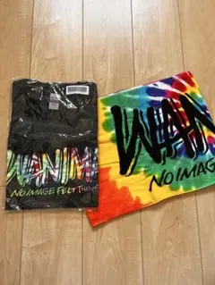 WANIMA 2018EverybodyツアーTシャツ Lサイズ＋タオル