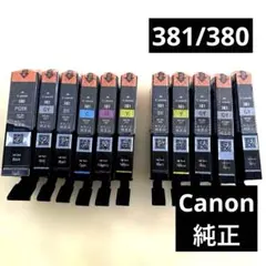 Canon PIXUS 純正インクカートリッジ 10本セット - メルカリ