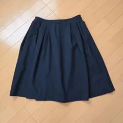 クリアインプレッション　スカートのサムネイル