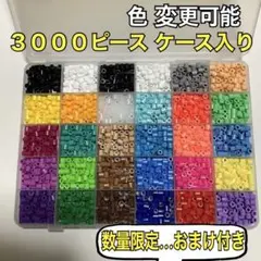 *️⃣ アイロンビーズ《ケース入り》合計３０００【 ゆうゆう便】