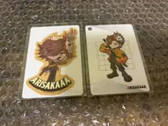 Crazy Raccoon Arisakaaa ありさか　コレカステッカー