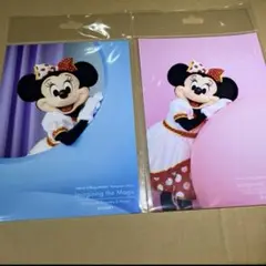 ディズニーリゾート　イマジニングザマジック　写真　2枚　ミニー