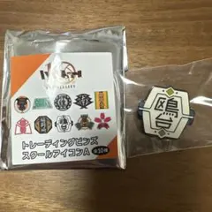 ハイキュー‼︎10th 鴎台ピンズ